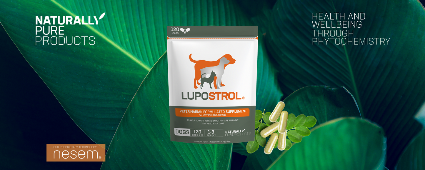 LUPOSTROL® for Dogs