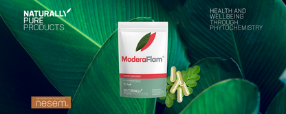 ModeraFlam®