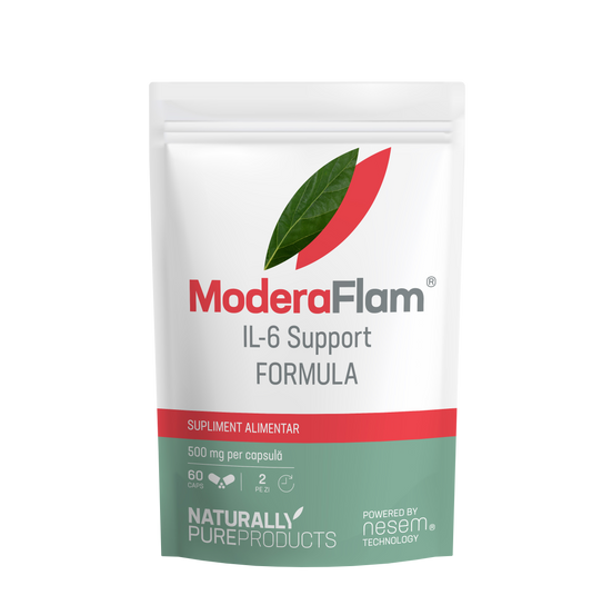 ModeraFlam®