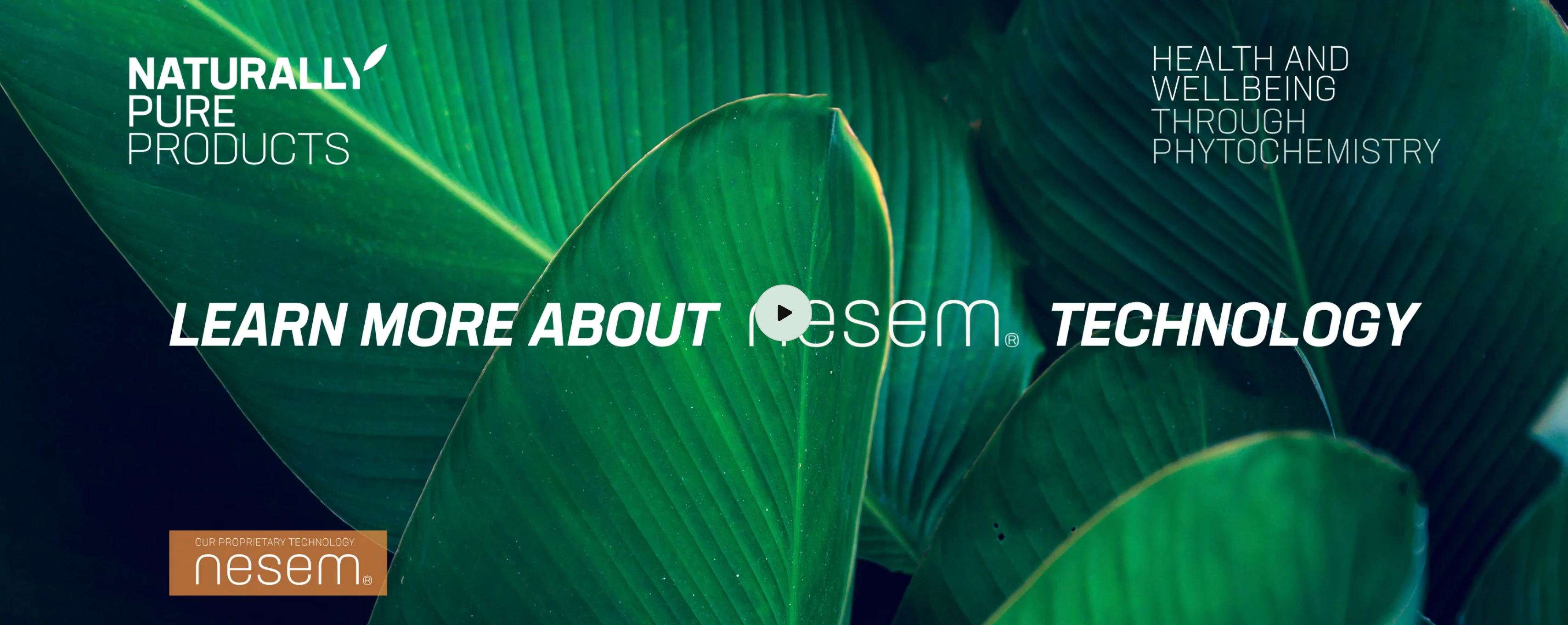 Load video: nesem® explained